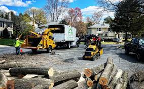 Artificial Turf Installation in Mount Morris, MI